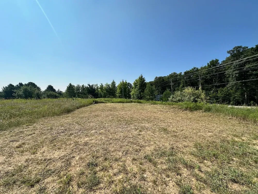 Shanty Creek Road Custer Township, MI 49615