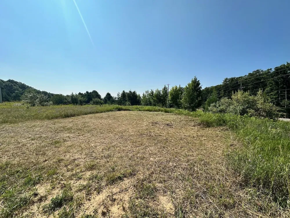Shanty Creek Road Custer Township, MI 49615