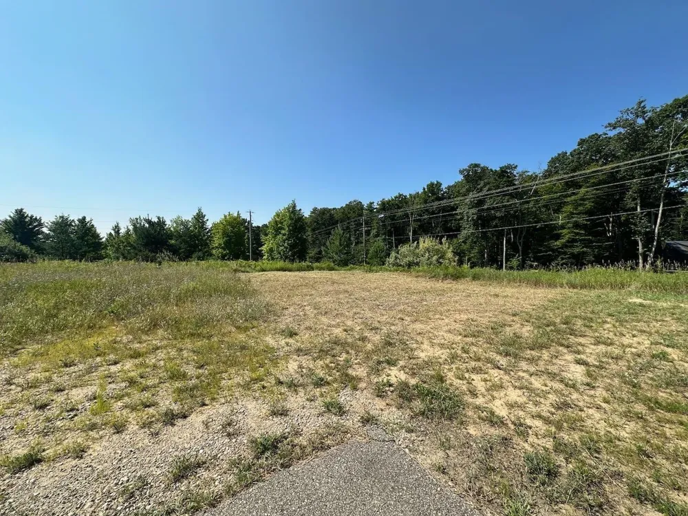 Shanty Creek Road Custer Township, MI 49615