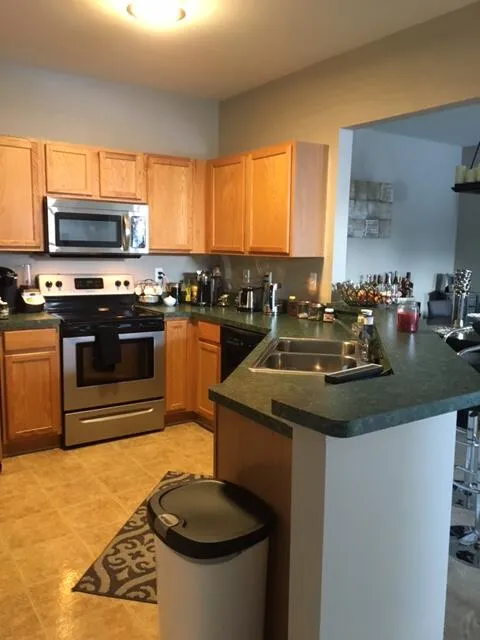 15459 Cornell Drive Clinton Charter Township, MI 48038