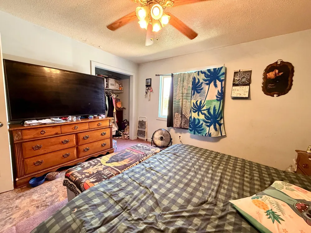 8565 S Mount Hope Road Bloomer Township, MI 48811