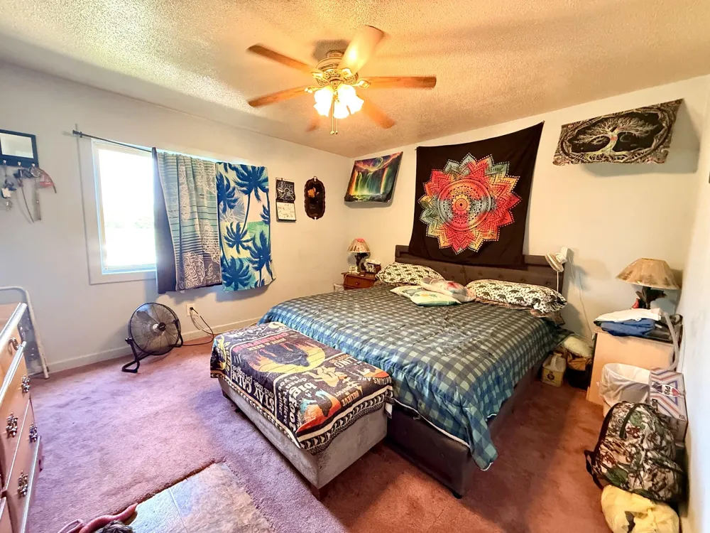 8565 S Mount Hope Road Bloomer Township, MI 48811