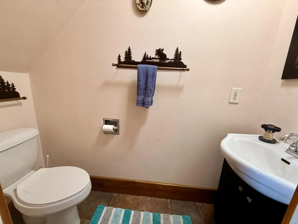 8565 S Mount Hope Road Bloomer Township, MI 48811