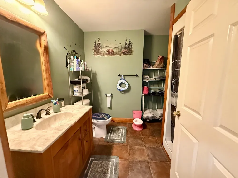 8565 S Mount Hope Road Bloomer Township, MI 48811
