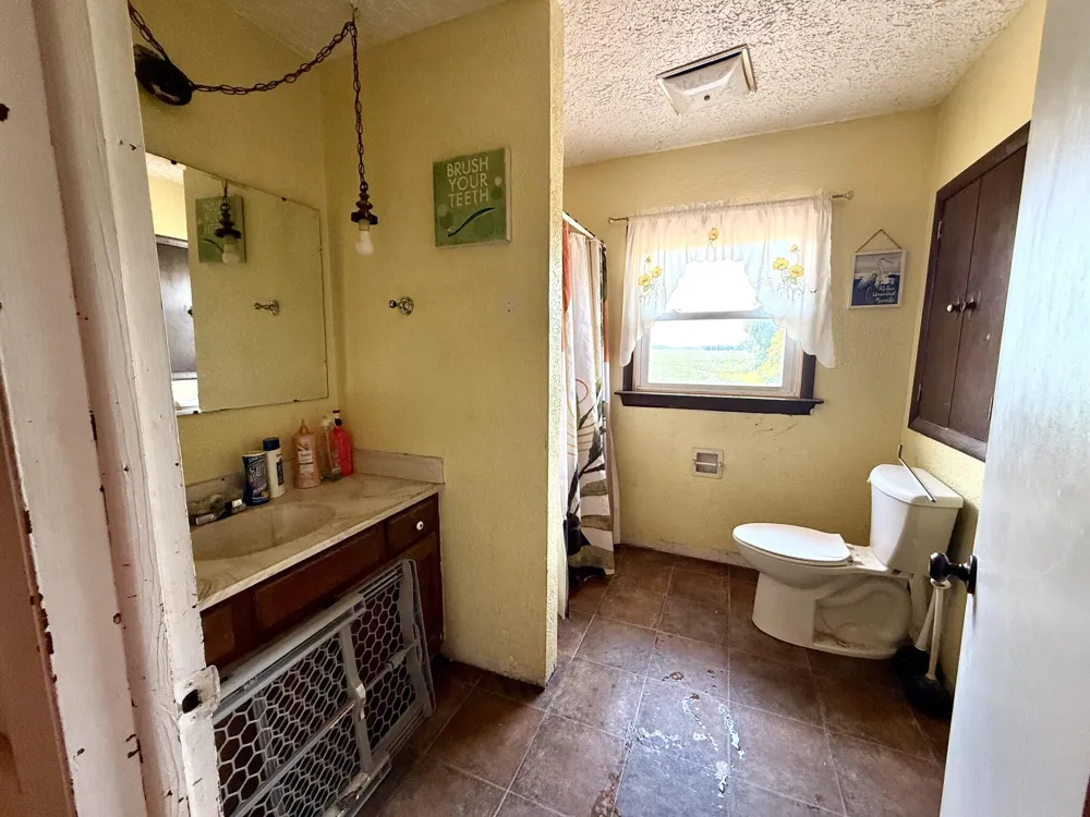 8565 S Mount Hope Road Bloomer Township, MI 48811