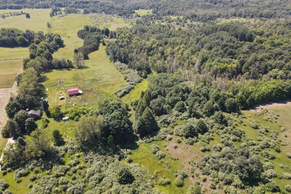 4626 S Center Highway Bingham Township, MI 49682