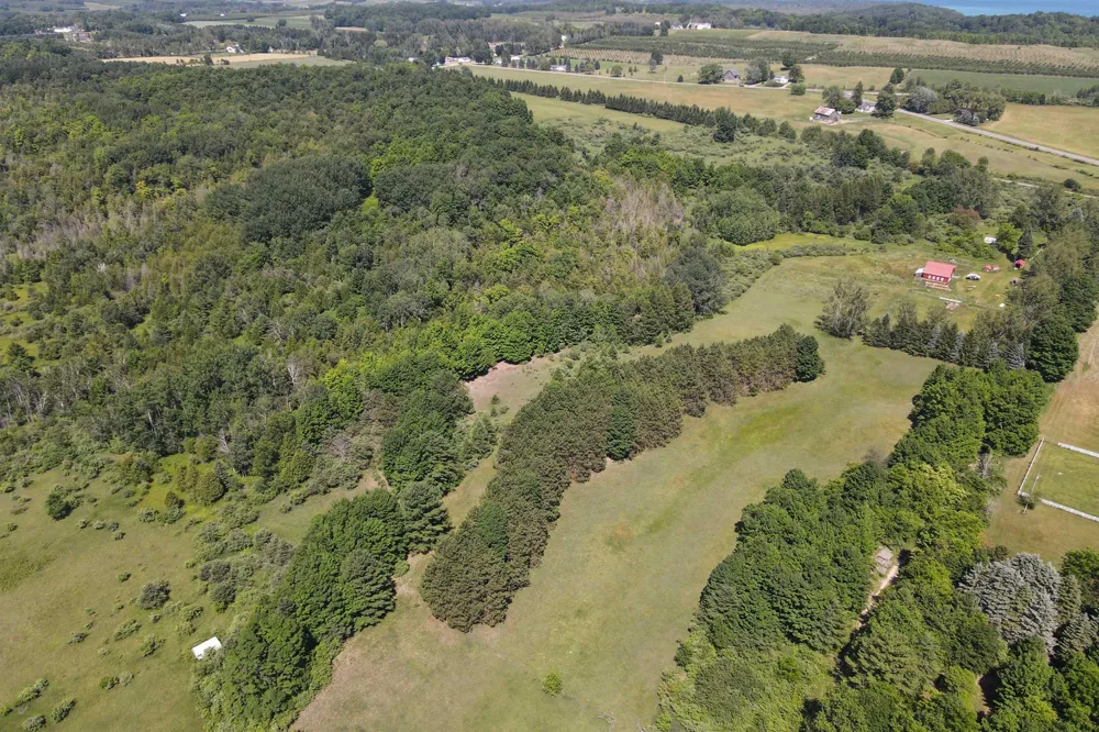 4626 S Center Highway Bingham Township, MI 49682