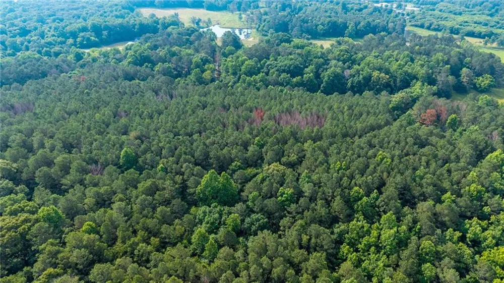 Lot 4 136 Highway 136 Connector Talking Rock, GA 30175