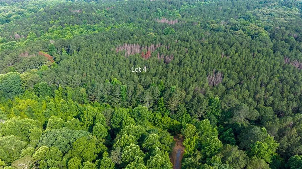 Lot 4 136 Highway 136 Connector Talking Rock, GA 30175