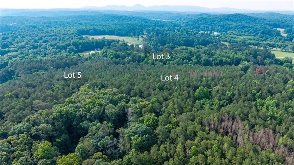 Lot 5 Highway 136 Connector Talking Rock, GA 30175