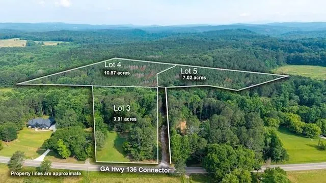 Lot 5 Highway 136 Connector Talking Rock, GA 30175