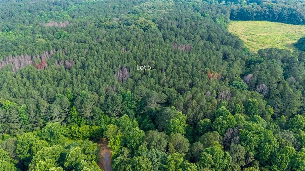 Lot 5 Highway 136 Connector Talking Rock, GA 30175