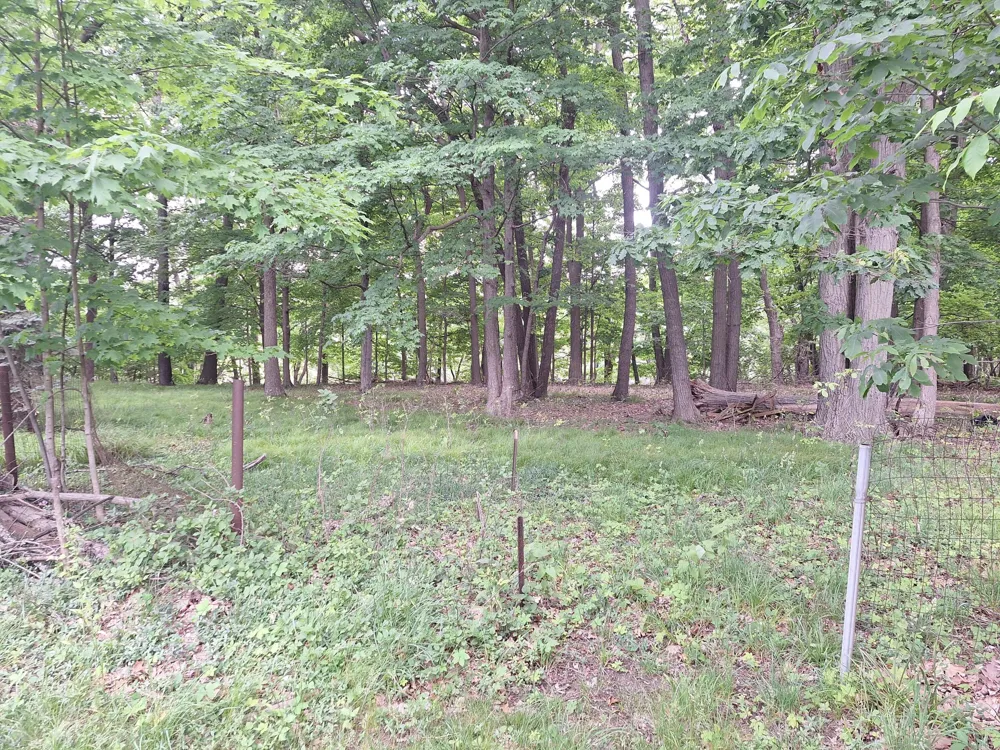2104 Melvin Court Lansing Charter Township, MI 48917