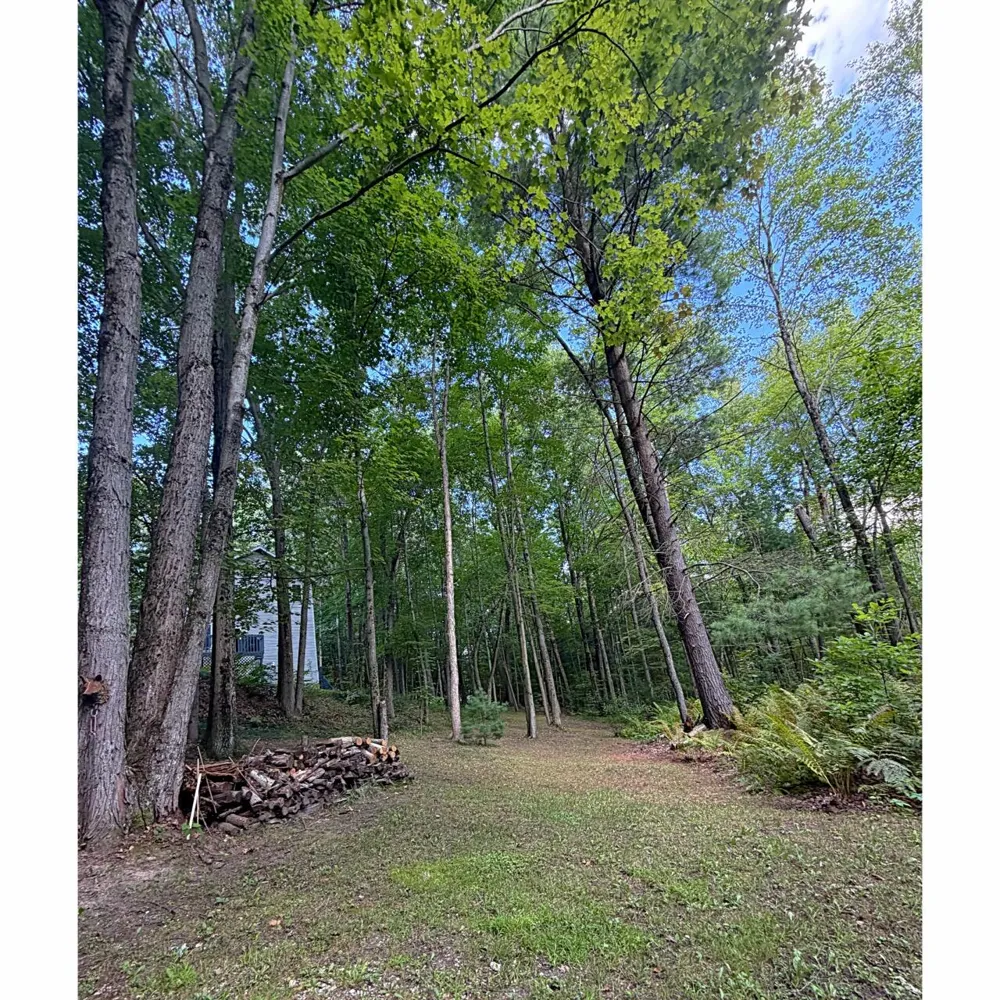 11793 W Baker Road Eureka Township, MI 48838