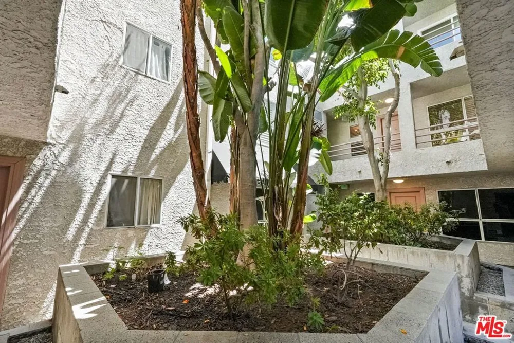 11230 Peach Grove Street #208 Los Angeles, CA 91601