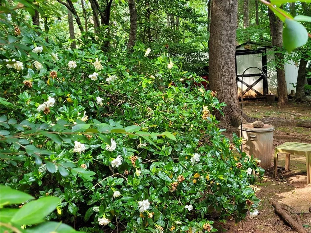 847 Knottywood Drive Lavonia, GA 30553