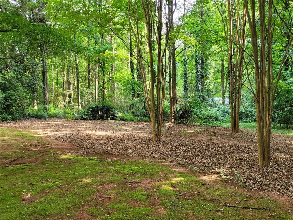 847 Knottywood Drive Lavonia, GA 30553