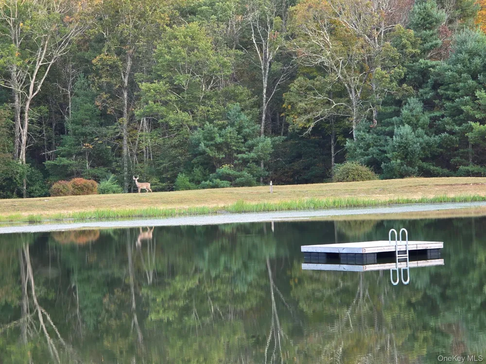 Split Rock Drive Barryville, NY 12719
