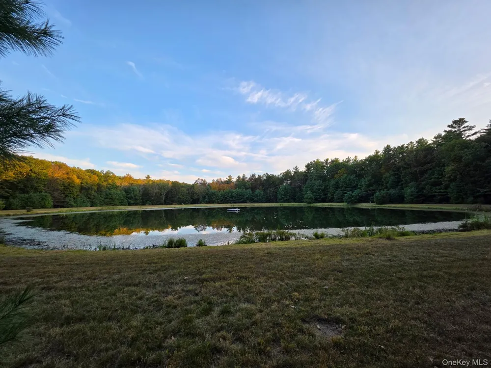 Split Rock Drive Barryville, NY 12719