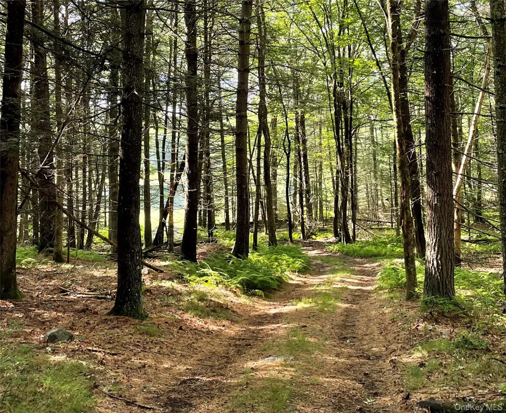 Split Rock Drive Barryville, NY 12719