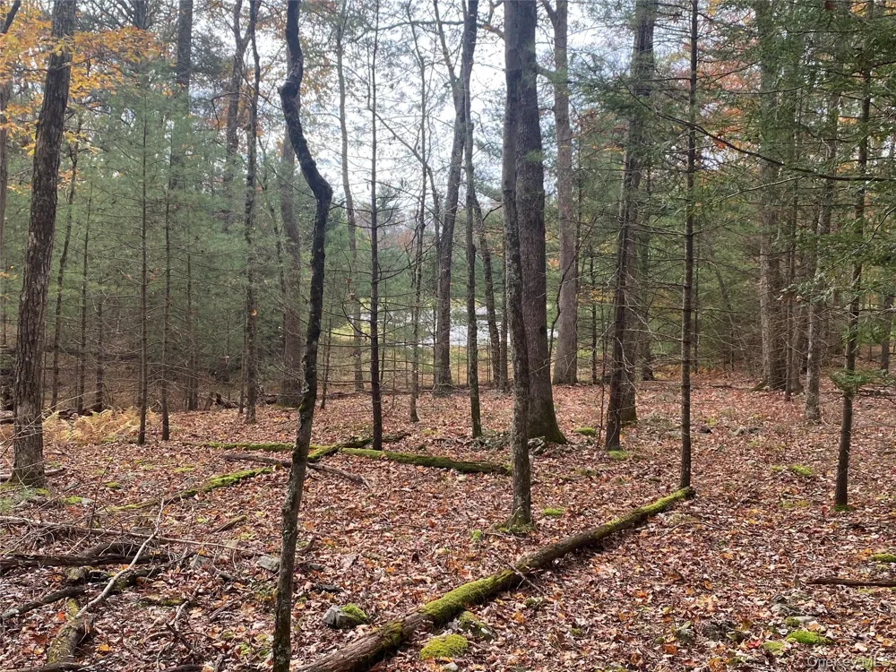 Split Rock Drive Barryville, NY 12719