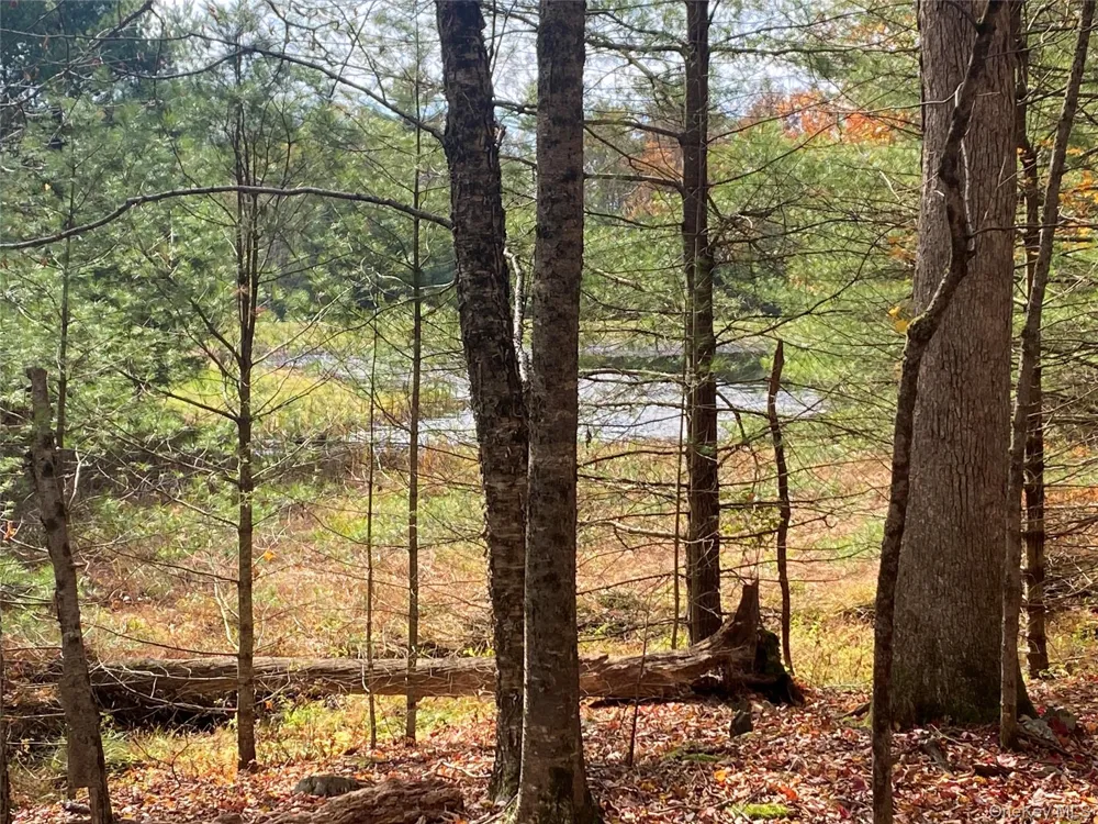 Split Rock Drive Barryville, NY 12719