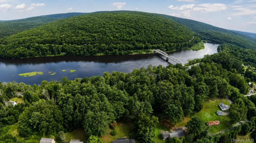 24 Andrew Paye Road Pond Eddy, NY 12770