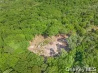 Lot 5 A S White Rock Road Holmes, NY 12564