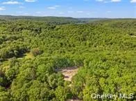 Lot 5 A S White Rock Road Holmes, NY 12564
