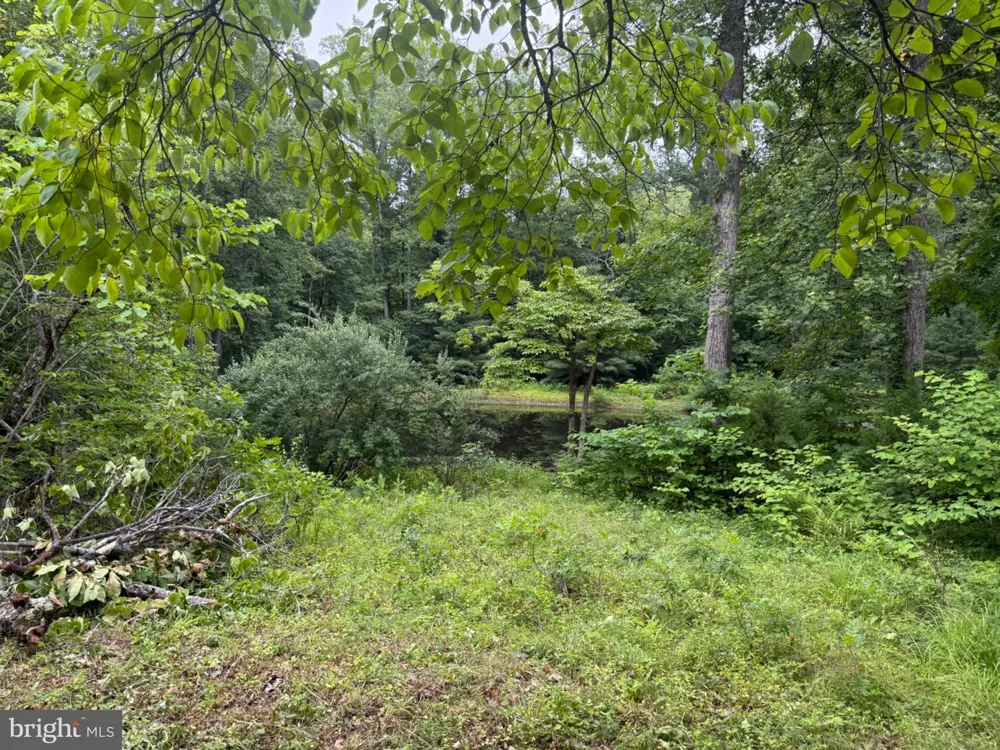 6334 W HOOVER ROAD Reva, VA 22735