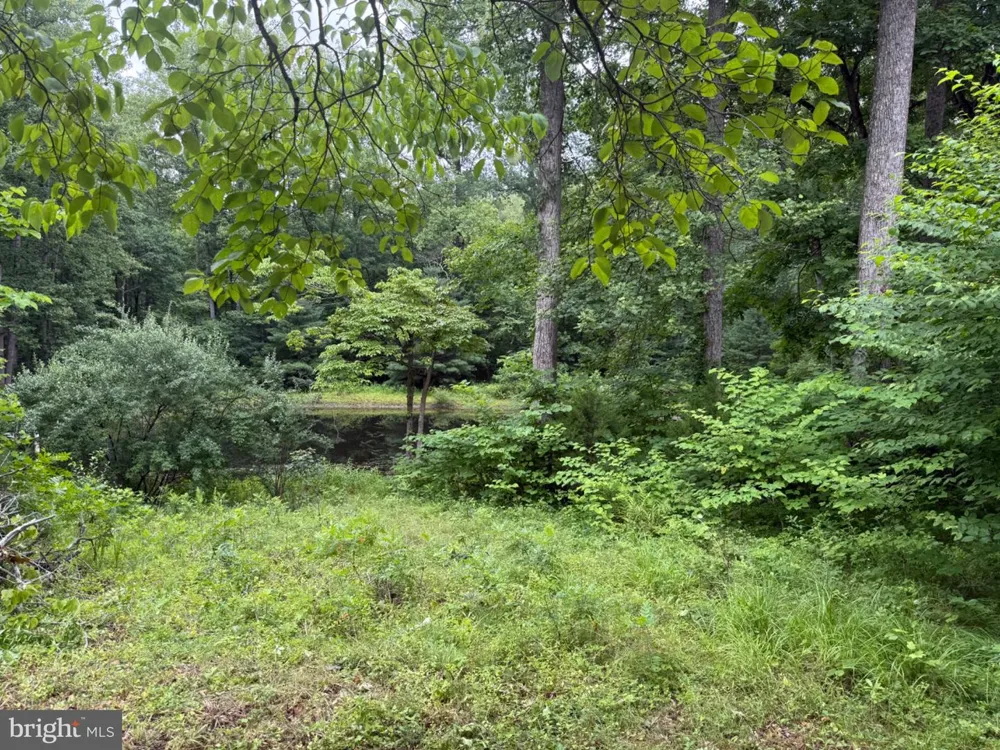 6334 W HOOVER ROAD Reva, VA 22735