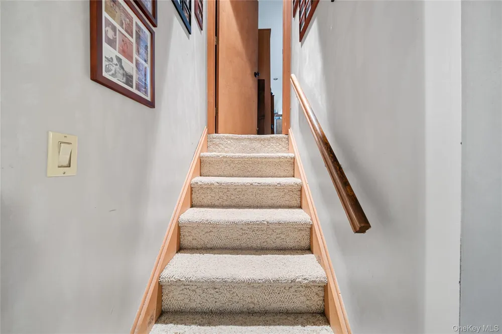 65 Elmtree Lane Jericho, NY 11753
