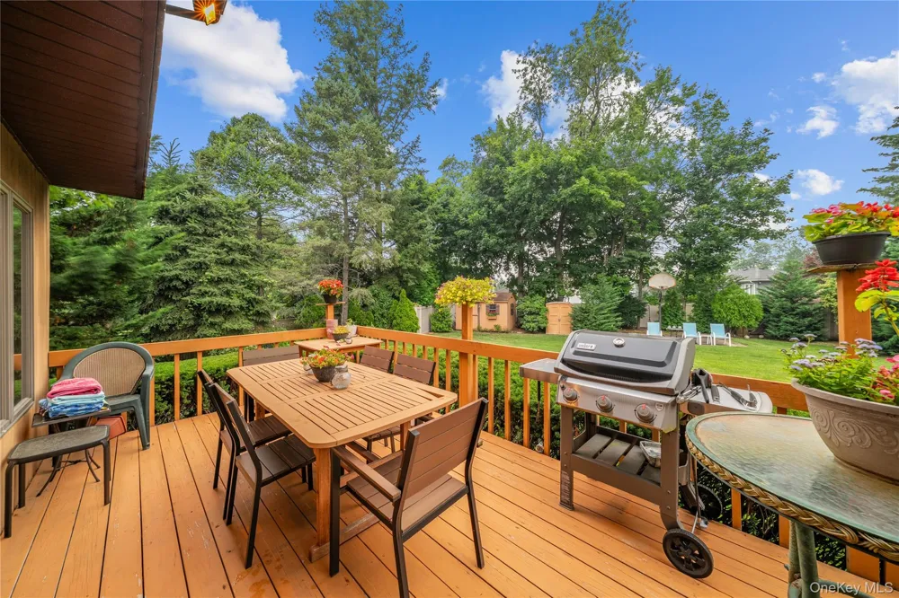 65 Elmtree Lane Jericho, NY 11753