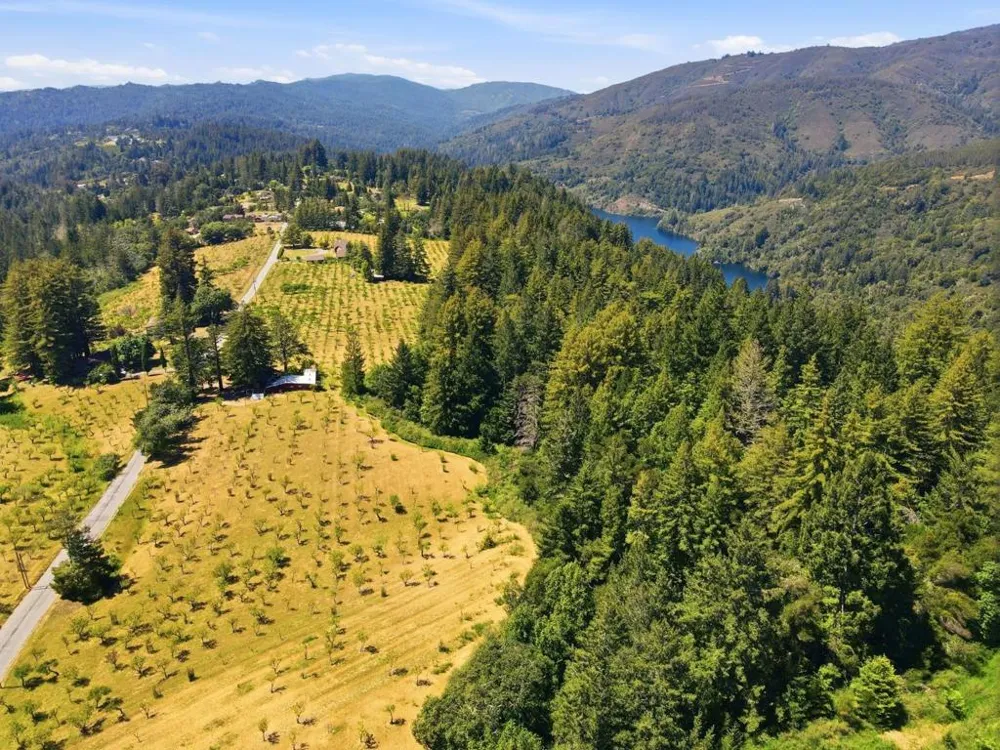 24580 Loma Prieta Avenue Los Gatos, CA 95033