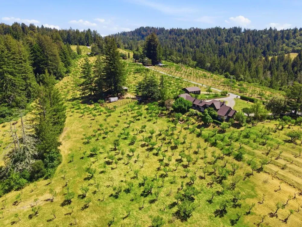 24580 Loma Prieta Avenue Los Gatos, CA 95033