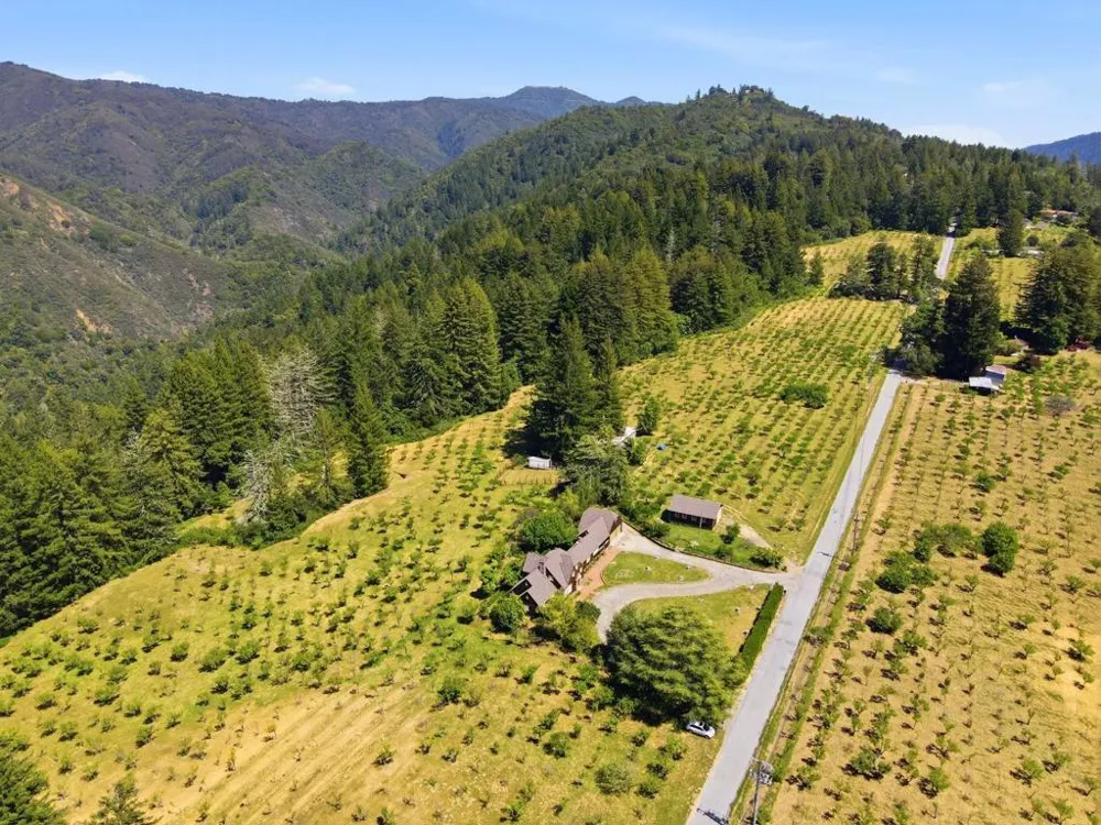24580 Loma Prieta Avenue Los Gatos, CA 95033