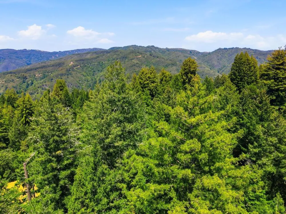 24580 Loma Prieta Avenue Los Gatos, CA 95033