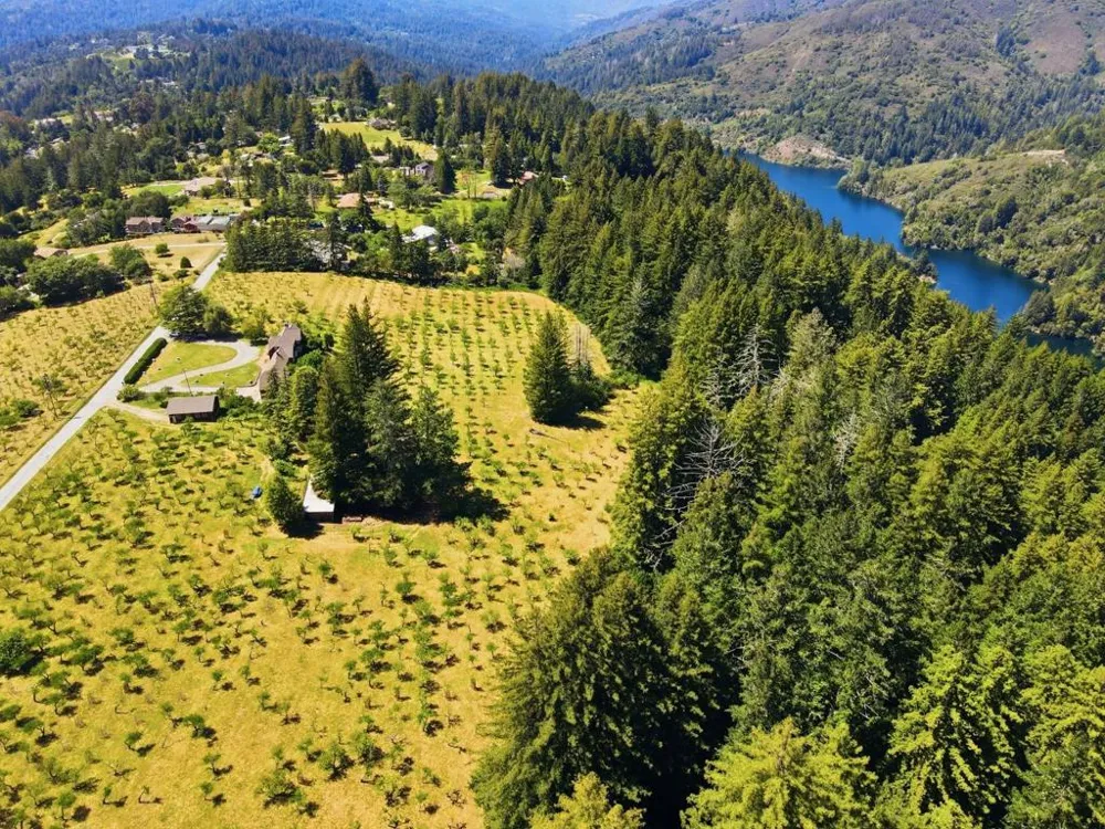 24580 Loma Prieta Avenue Los Gatos, CA 95033