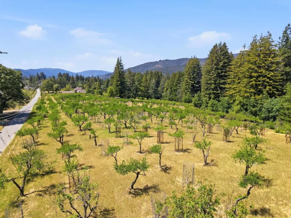 24580 Loma Prieta Avenue Los Gatos, CA 95033