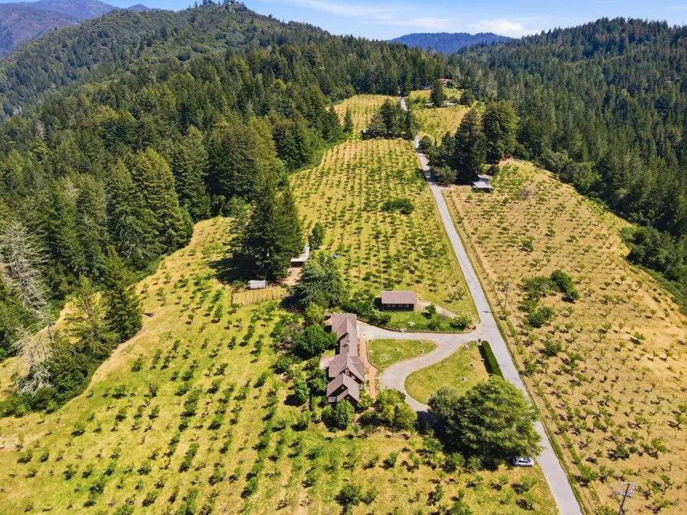 24580 Loma Prieta Avenue Los Gatos, CA 95033