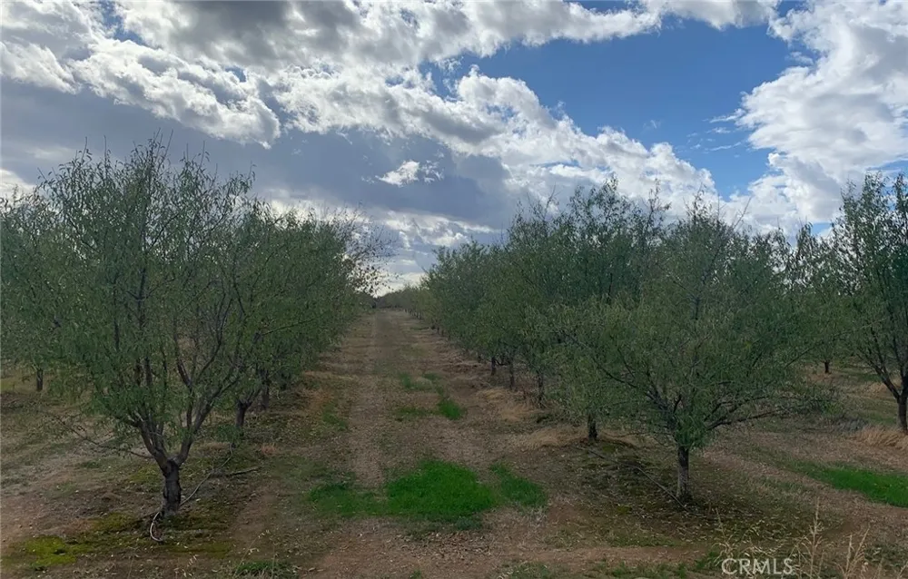 22085 FINNELL Corning, CA 96021