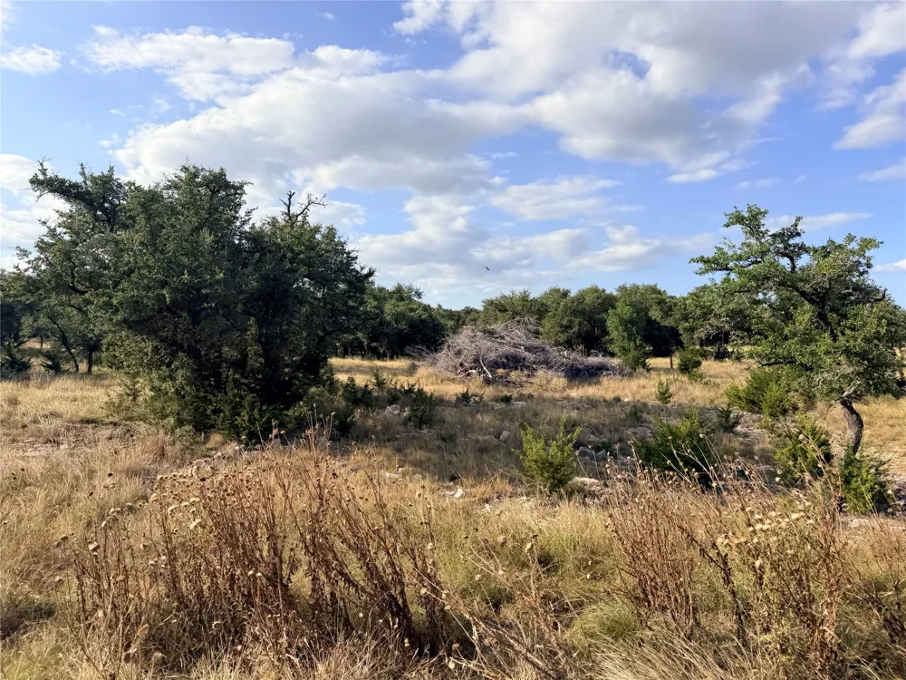 285 Brooklyn Drive Mountain Home, TX 78058