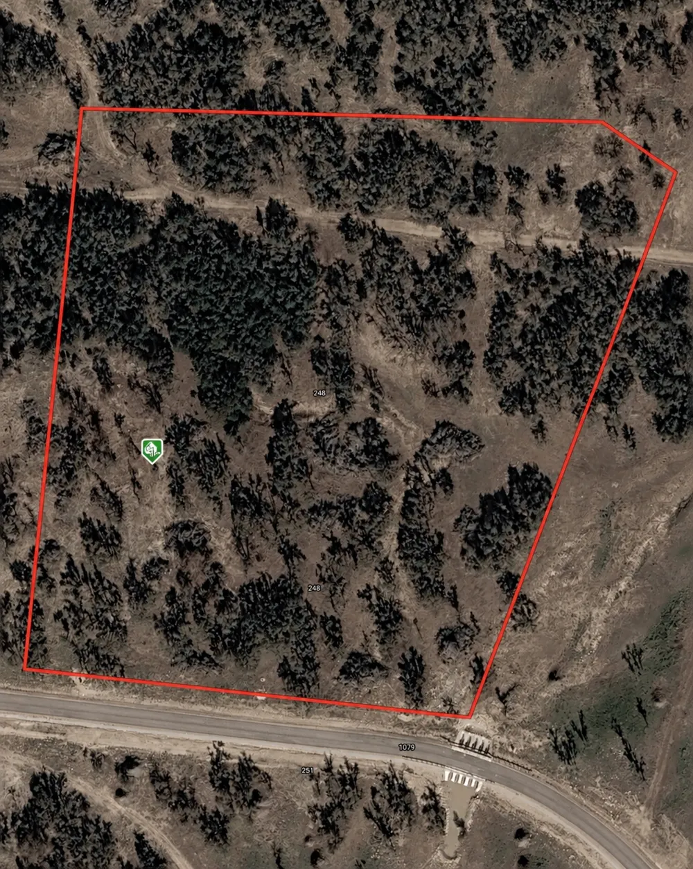 285 Brooklyn Drive Mountain Home, TX 78058