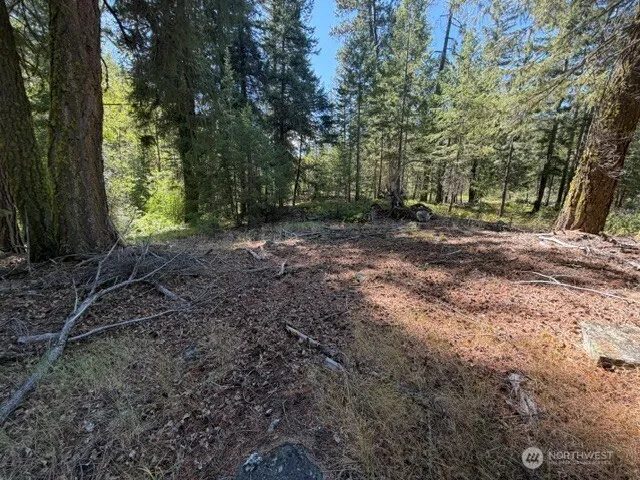0 E Buttermilk Creek Road Twisp, WA 98856