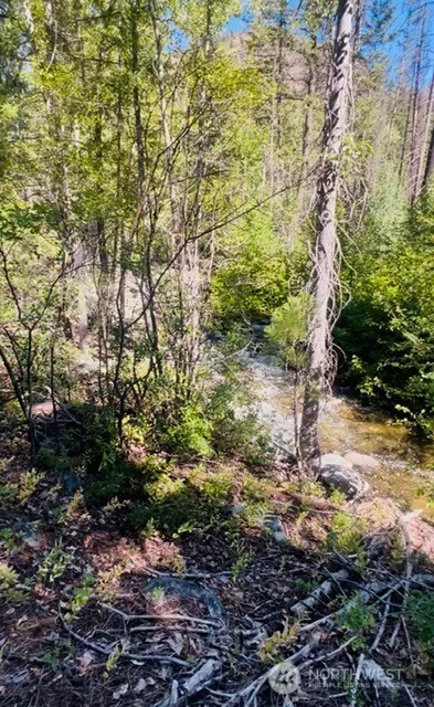 0 E Buttermilk Creek Road Twisp, WA 98856