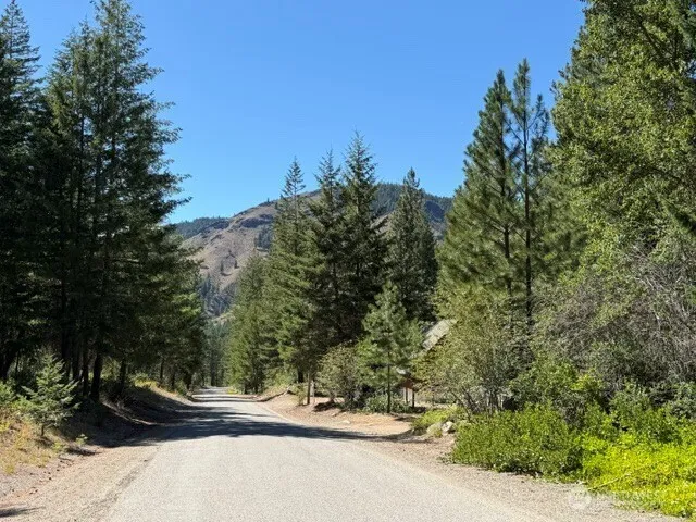 0 E Buttermilk Creek Road Twisp, WA 98856