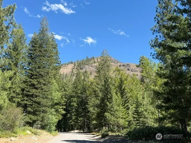 0 E Buttermilk Creek Road Twisp, WA 98856