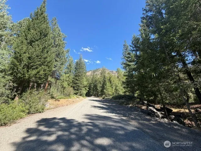 0 E Buttermilk Creek Road Twisp, WA 98856