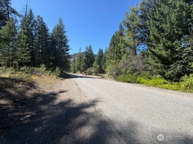0 E Buttermilk Creek Road Twisp, WA 98856