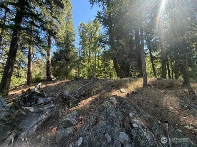 0 E Buttermilk Creek Road Twisp, WA 98856